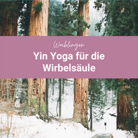 Yin Yoga für die Wirbelsäule Jan 22
